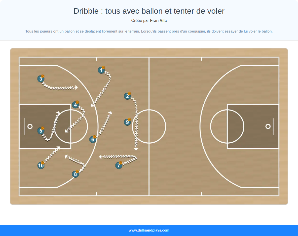 Exercices de basket-ball dribble : tous avec ballon et tenter de voler