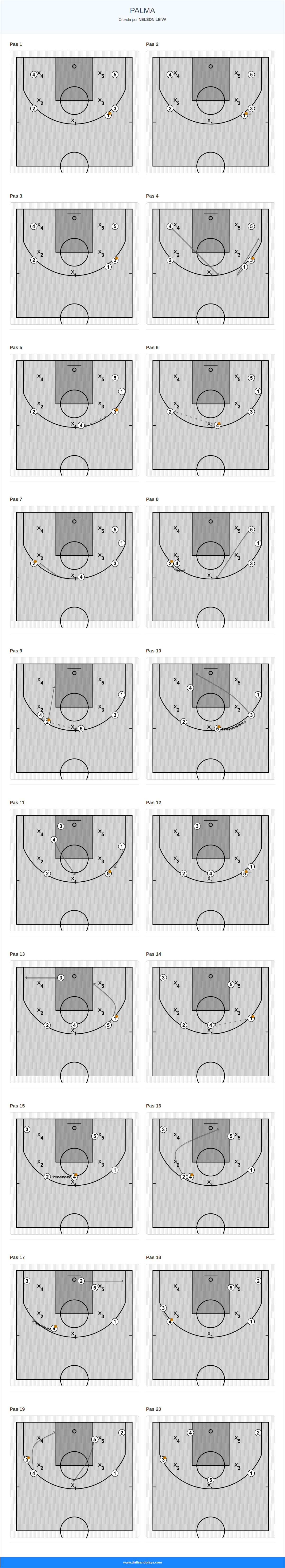 Jugada de bàsquet palma