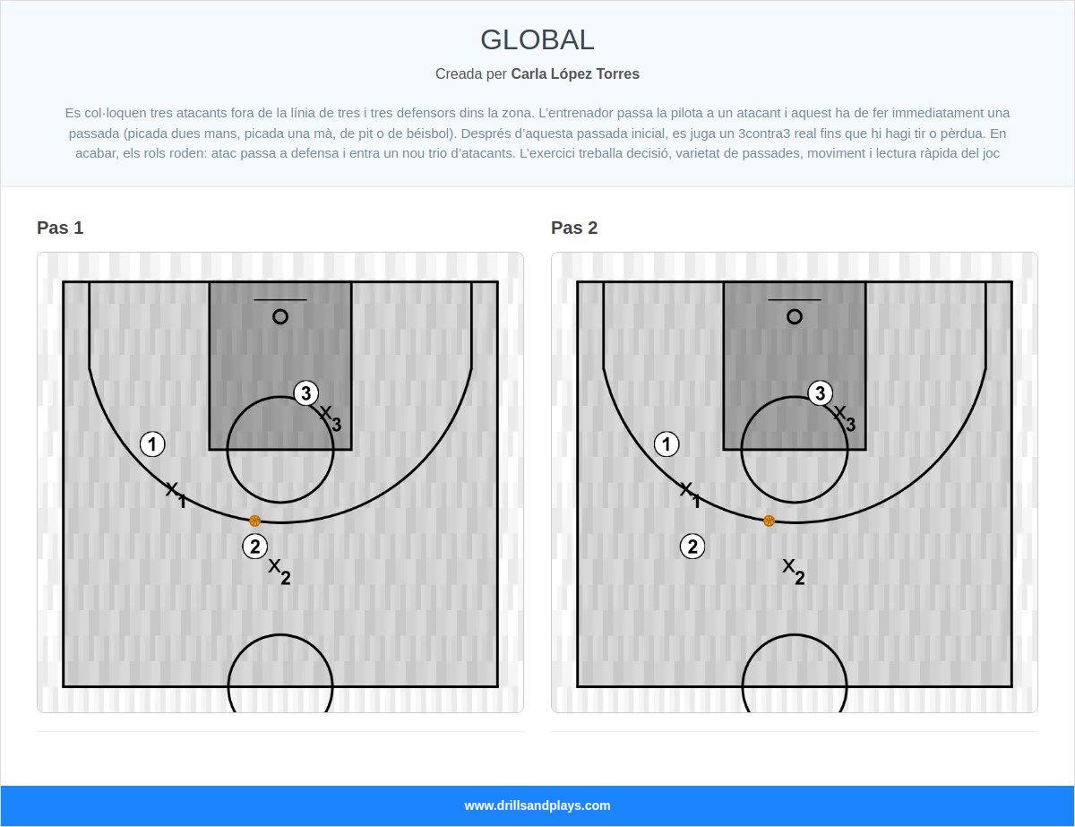 Exercici de bàsquet global