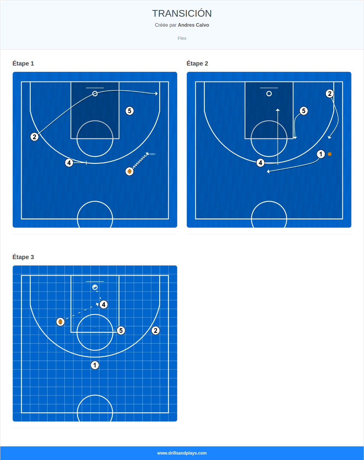 Jeux de basket-ball transición