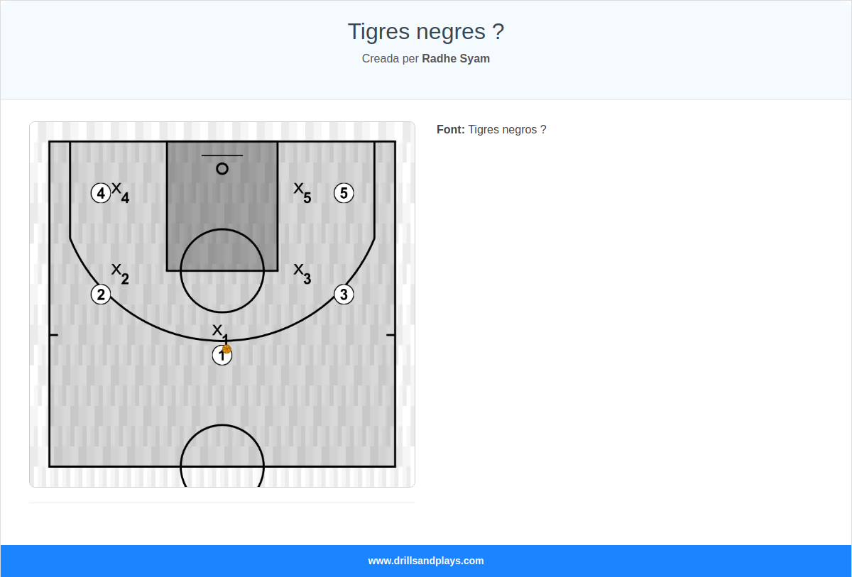 Jugada de bàsquet tigres negres ?