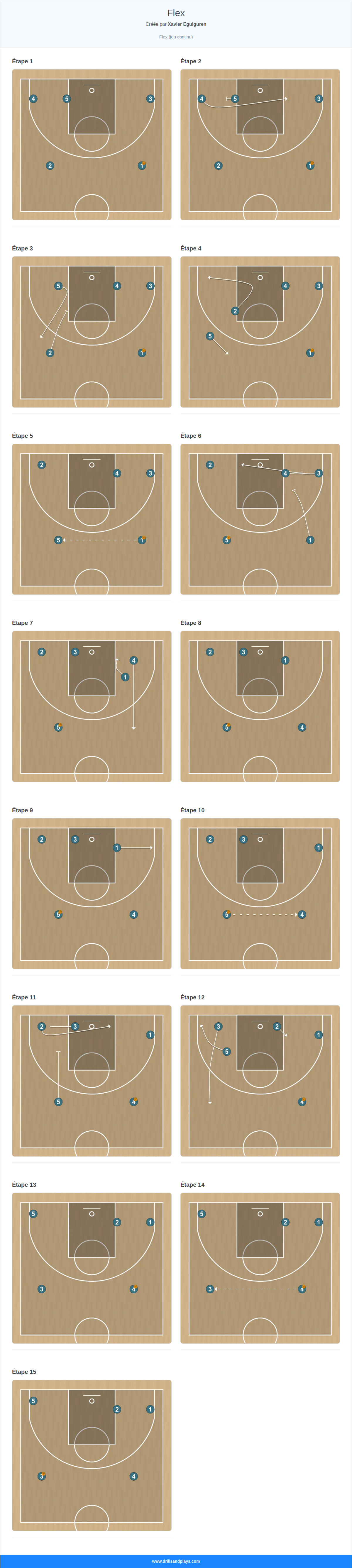 Jeux de basket-ball flex