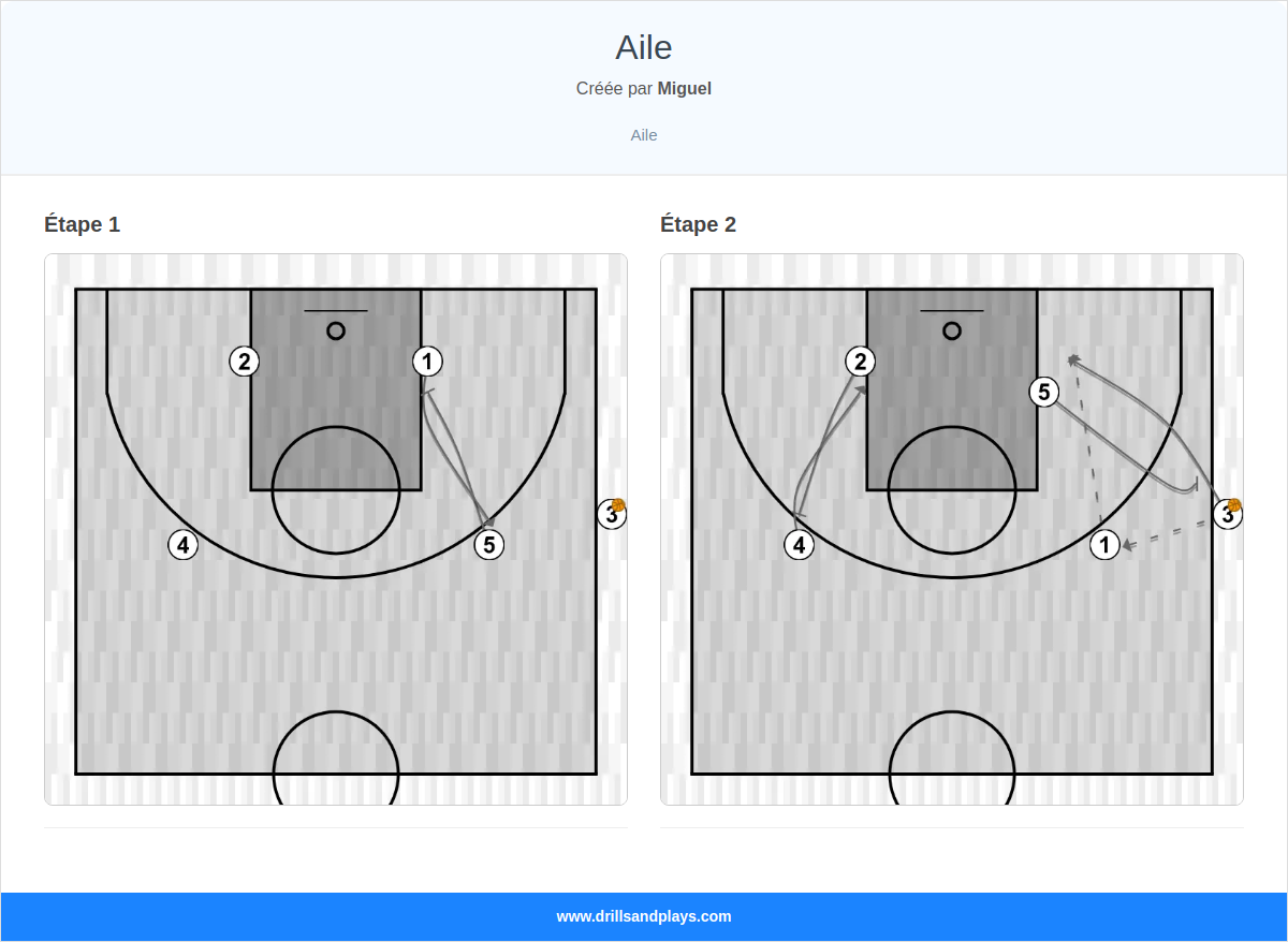Jeux de basket-ball aile