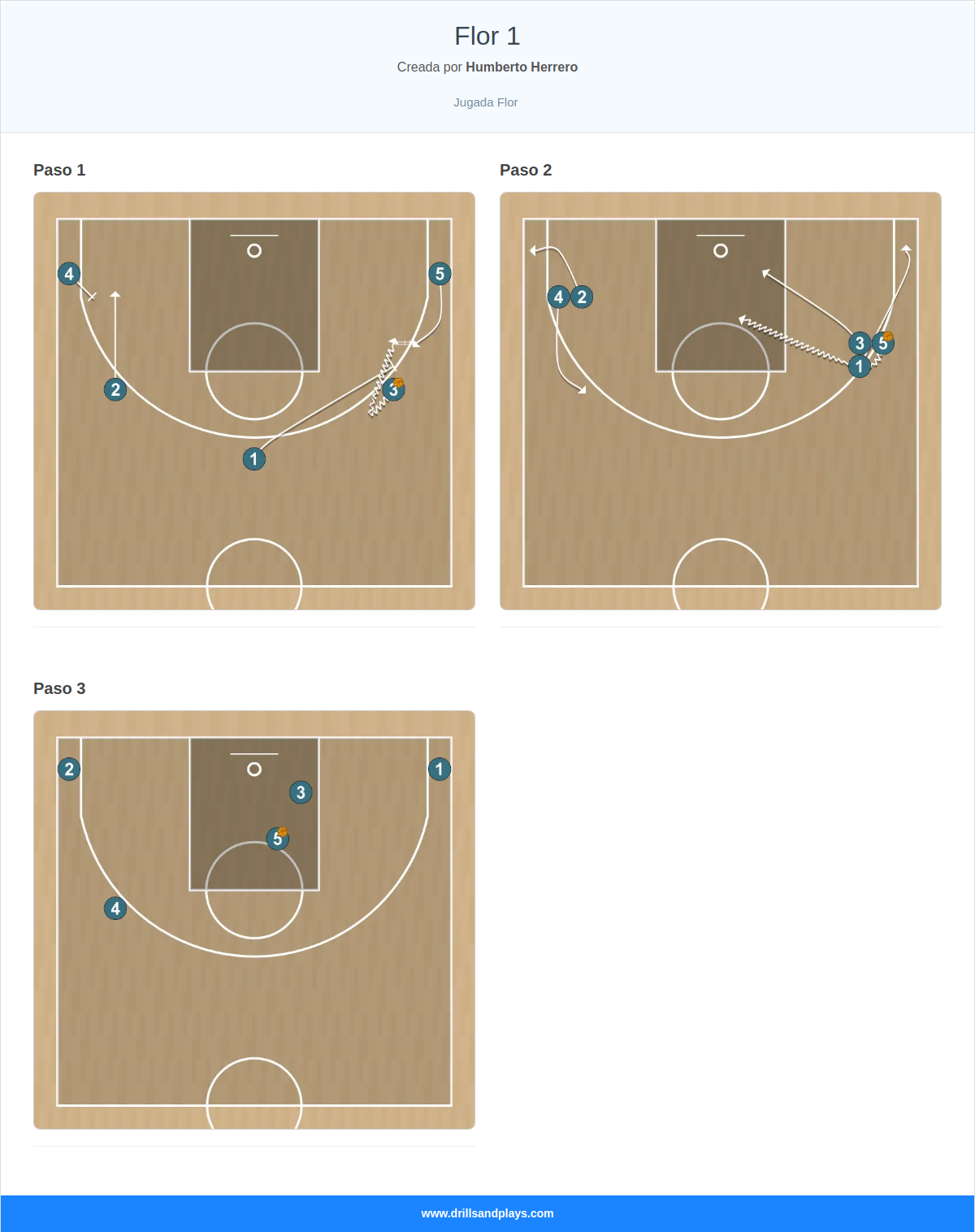 Jugada de baloncesto flor 1