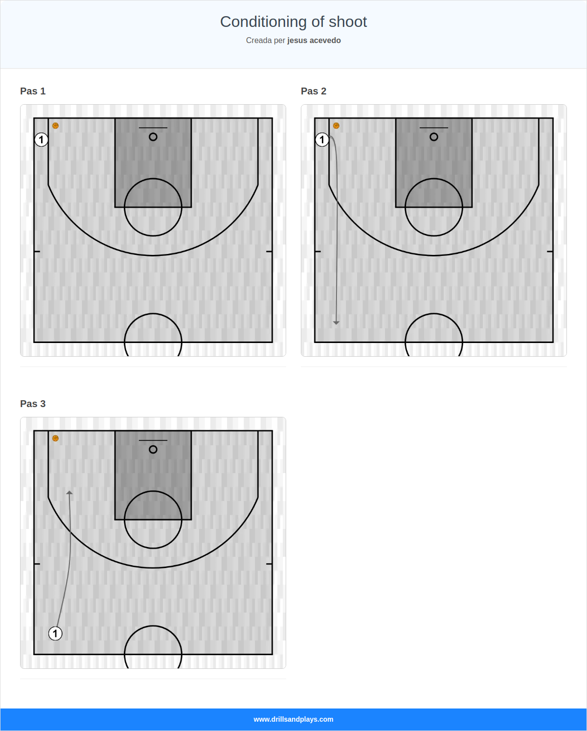 Exercici de bàsquet conditioning of shoot
