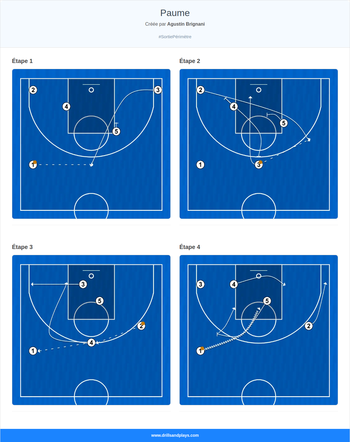 Jeux de basket-ball paume