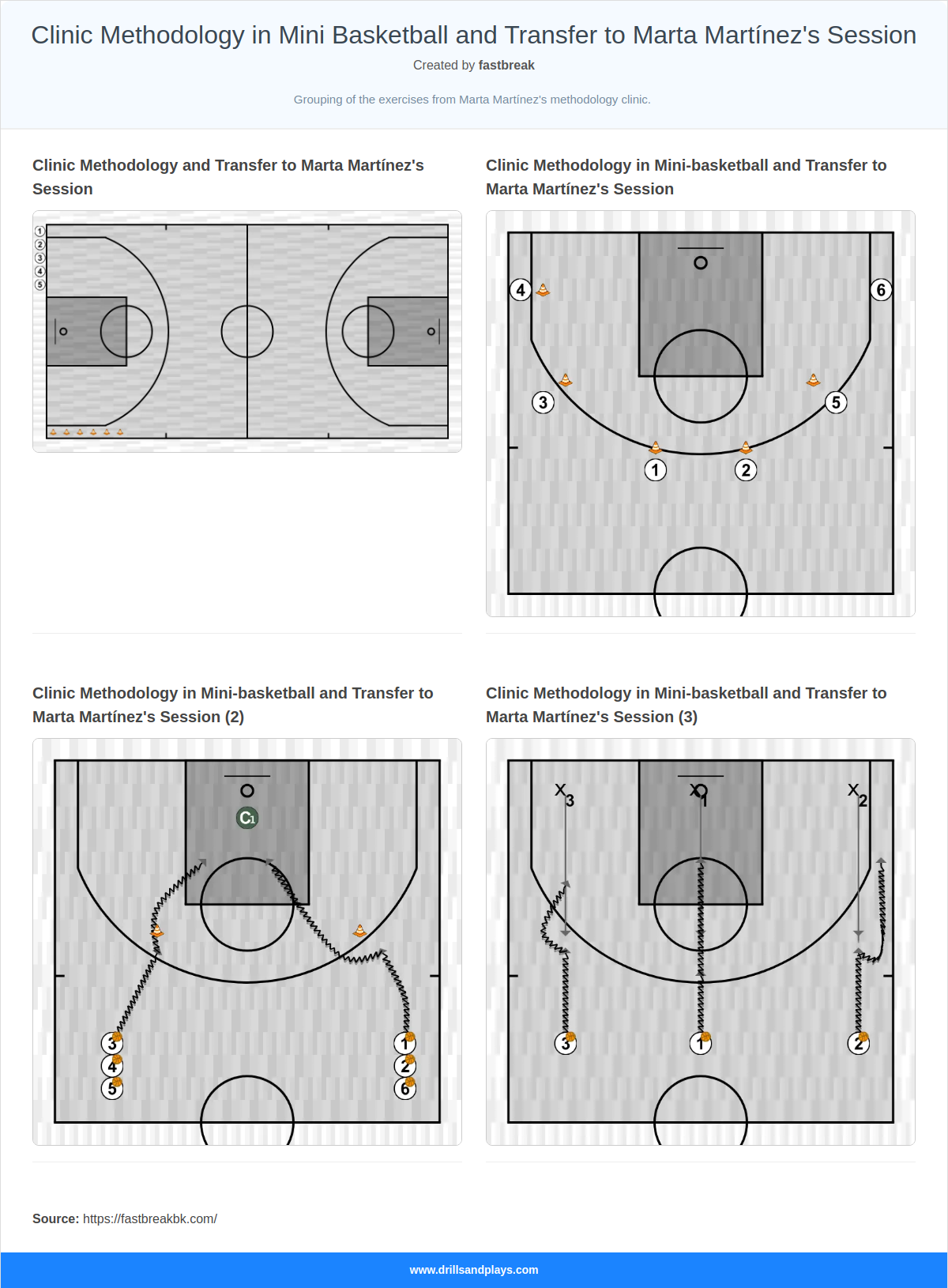 Clinic Methodology in Mini Basketball and Transfer to Marta Martínez\'s Session