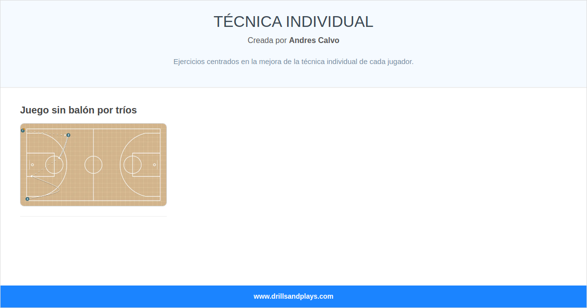 TÉCNICA INDIVIDUAL