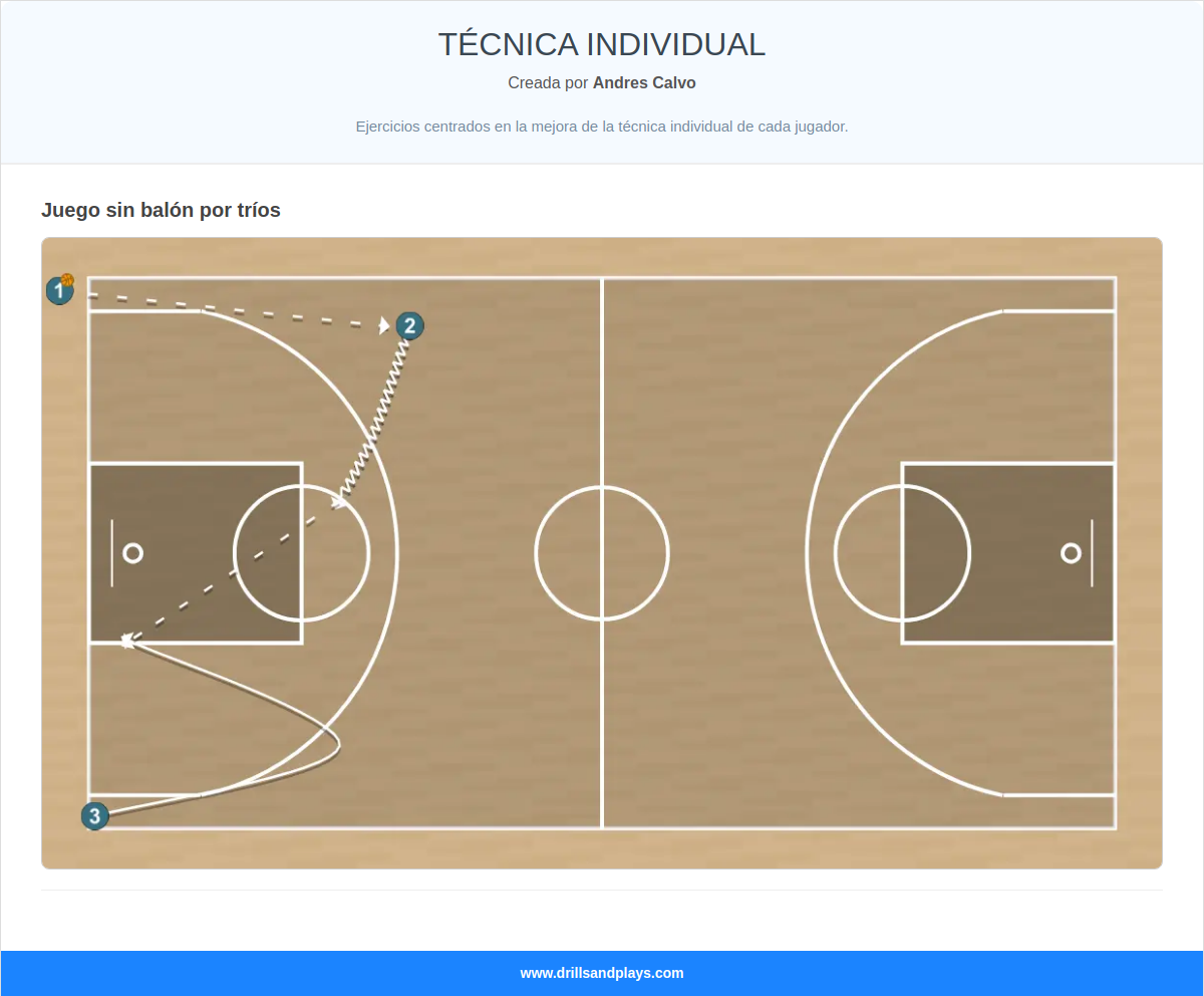 TÉCNICA INDIVIDUAL