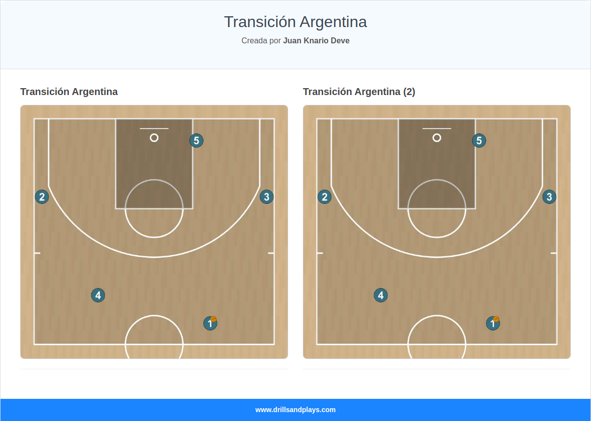 Transición Argentina