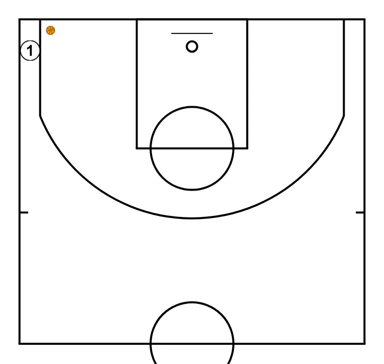 Conditioning of shoot  