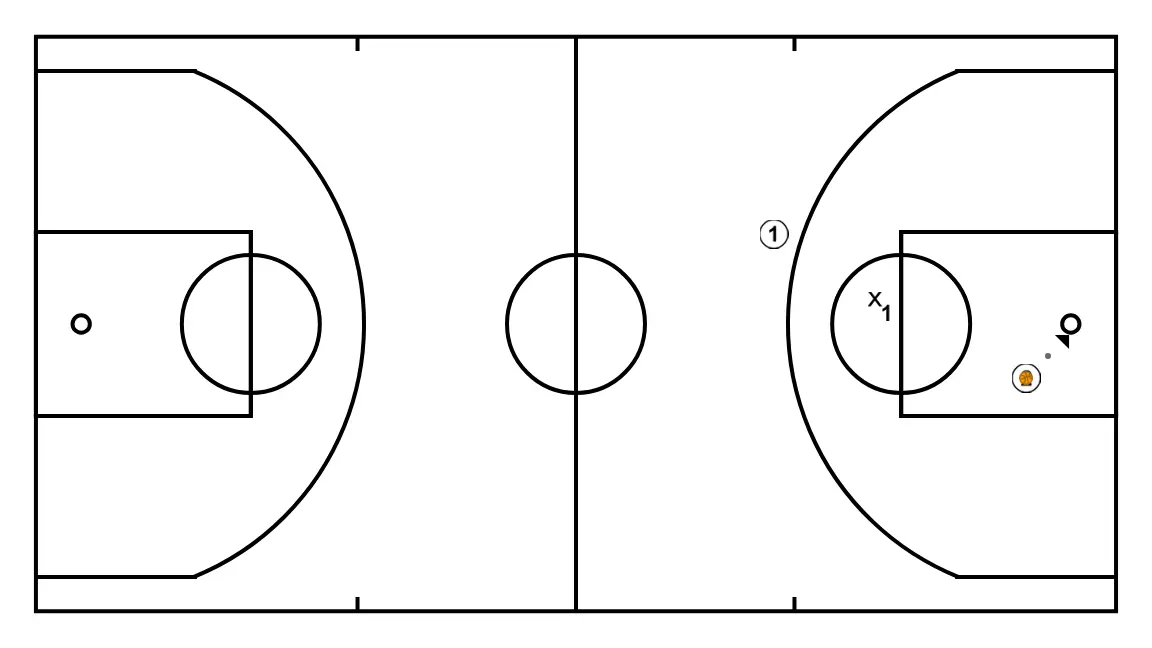 color-número-animal - PAS 5: 